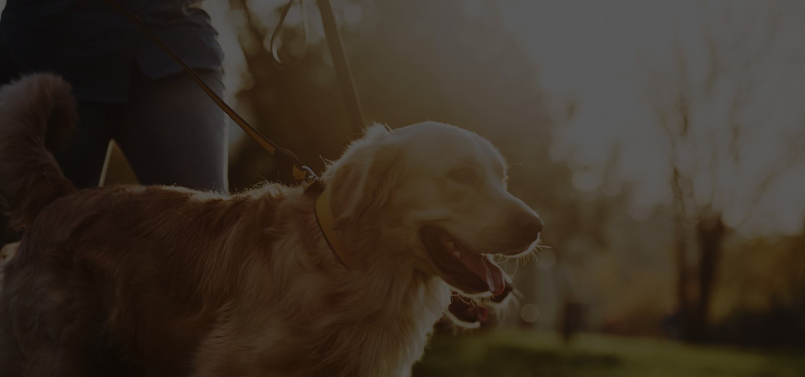 Description of image